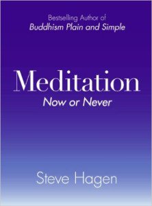 Steve Hagen - Meditation Now or Never